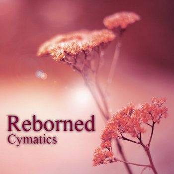 Reborned cover art