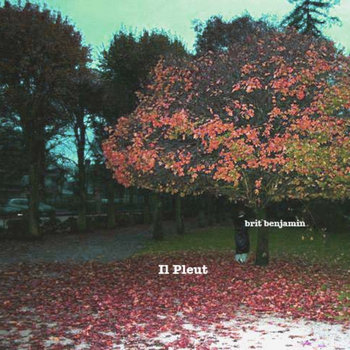 Il Pleut cover art