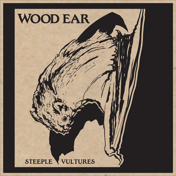 Steeple Vultures cover art