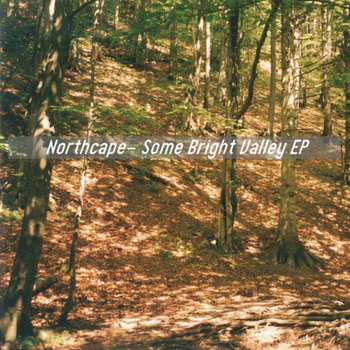 Some Bright Valley cover art