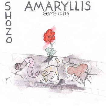Amaryllis cover art