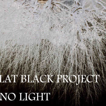 Flat Black Project - No Light cover art