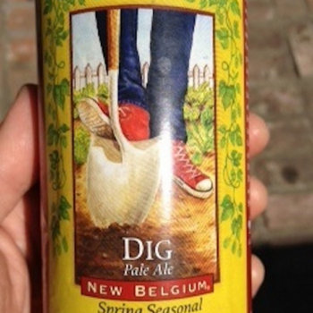 Dig cover art