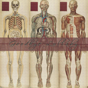 Lingering Thoughts of a Cadaver cover art