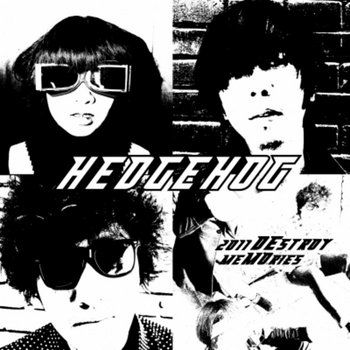 2011 DEstroy meMOries 2011 毁灭记忆 cover art
