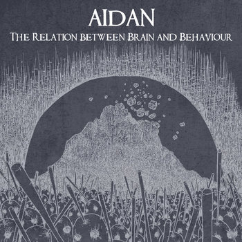 The Relation between Brain and Behaviour cover art