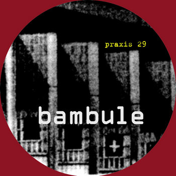 Vertical Invasion (Praxis 29) cover art