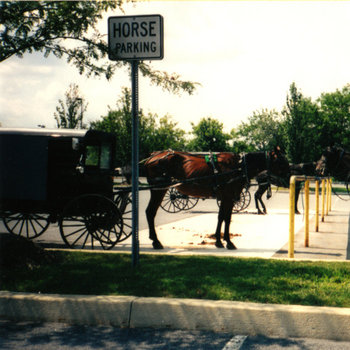 Horse Parking cover art