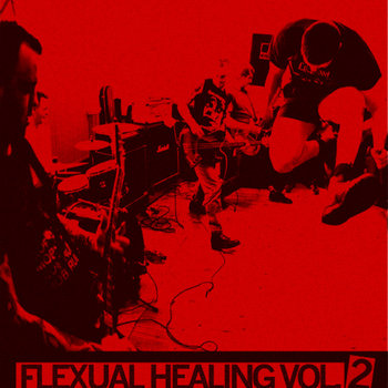 FLEXUAL HEALING VOL. 2: IN THE DOGHOUSE - LIVE AT MONGREL FEST cover art