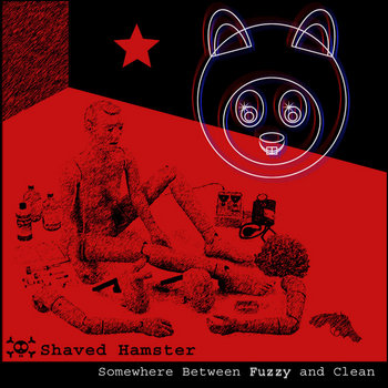 Somewhere Between Fuzzy and Clean cover art