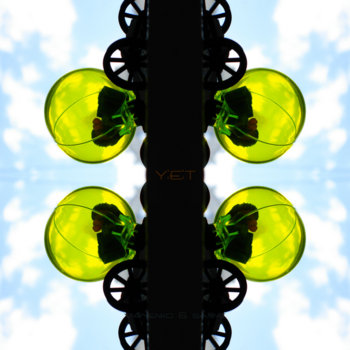Y:E:T (samples) cover art