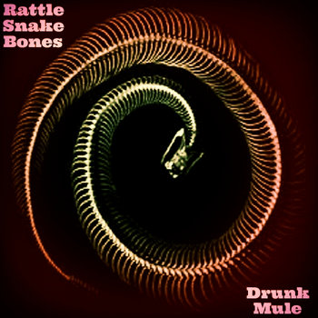 Rattle Snake Bones cover art