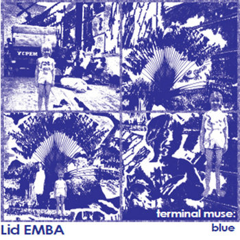 Terminal Muse:  Blue cover art