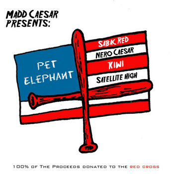 Pet Elephant cover art