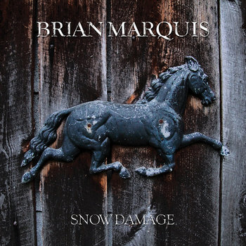 Snow Damage cover art