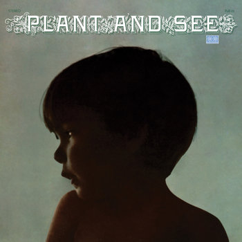 Plant and See cover art