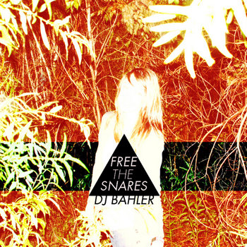 Free the Snares cover art