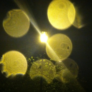 Paracosm - Single cover art