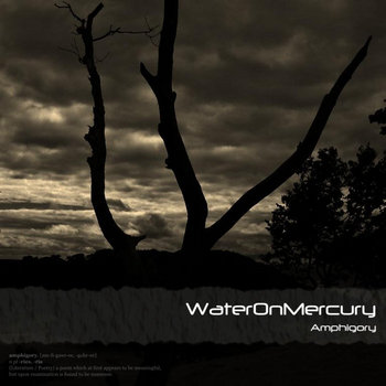 Amphigory cover art