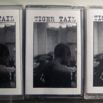 Demo 2011 cover art