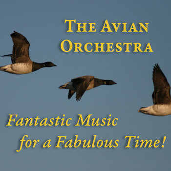 Fantastic Music for a Fabulous Time cover art