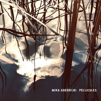 pellicules cover art