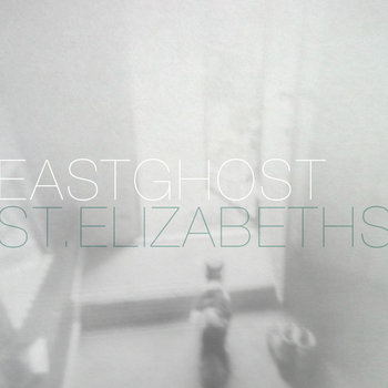 St. Elizabeths cover art