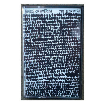 The Slow Wish cover art