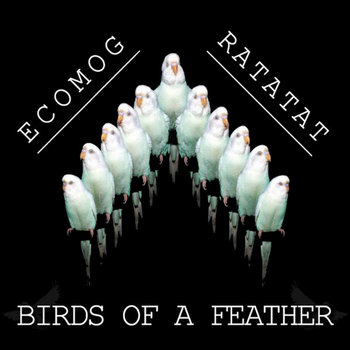Birds of a Feather cover art