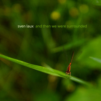 Sven Laux - And Then We Were Surrounded [DTR016] cover art