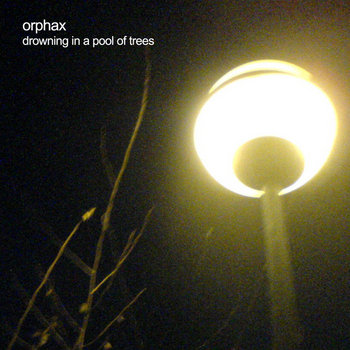 Drowning in a Pool of Trees cover art