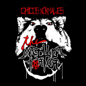 Chicos Normales EP cover art