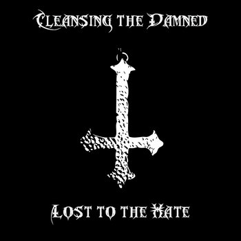 Lost to the Hate cover art