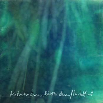 Blossom Dream / Painted Root cover art
