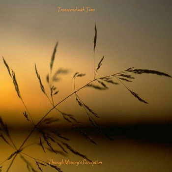 Through Memory's Perception cover art