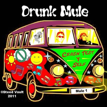 Crash Test Y'self cover art
