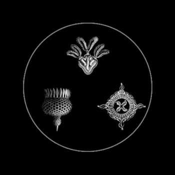 Neither Speak Nor Remain Silent cover art