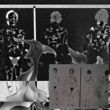 they like to watch cover art
