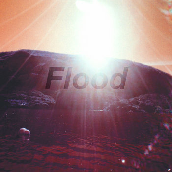 Flood cover art