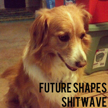 shitwave cover art