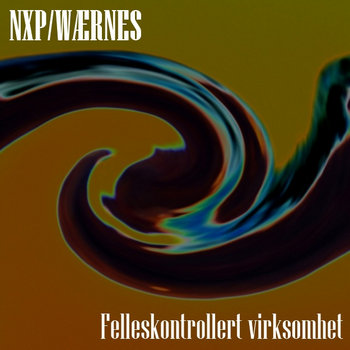 felleskontrollert virksomhet cover art