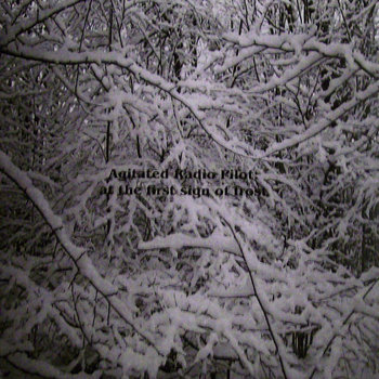 At The First Sign Of Frost cover art