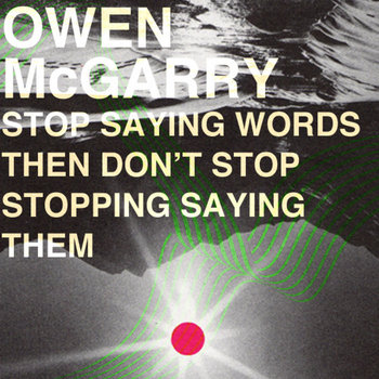 Stop Saying Words Then Don't Stop Stopping Saying Them cover art