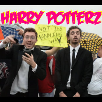 Harry Potterz cover art