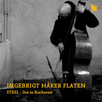 STEEL cover art