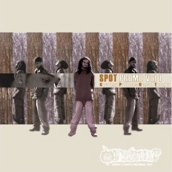 The Promo Vol. 1 cover art