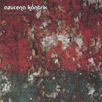 Reorganización cover art