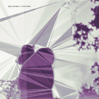 in the blink cover art