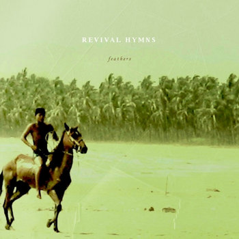 Feathers cover art
