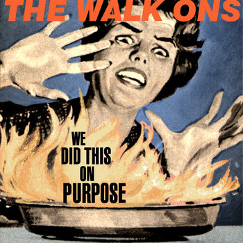 We Did This On Purpose cover art